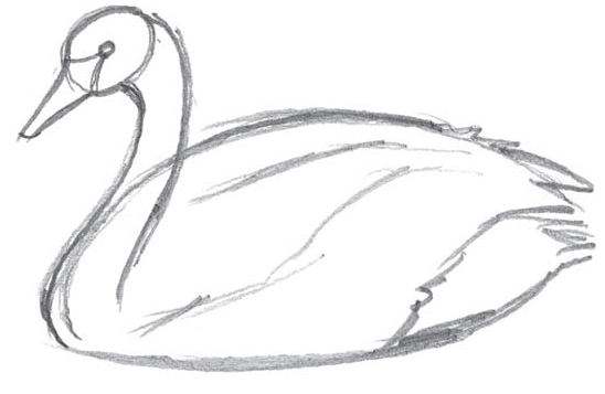 third step Step by step drawing a simple swan