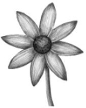 6-29