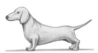 r9-3