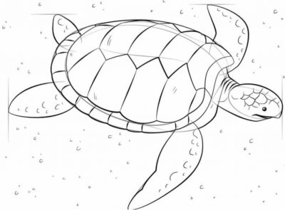 8-16