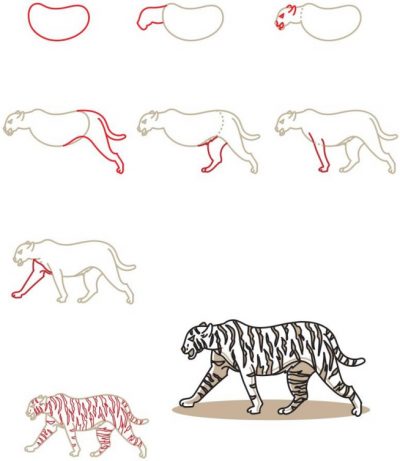 ss1
