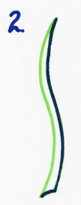 Draw Doodle Style Step by Step Drawing Instructions Step 2