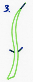 Draw Doodle Style Step by Step Drawing Instructions Step 3