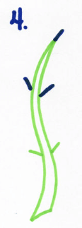 Draw Doodle Style Step by Step Drawing Instructions Step 4