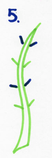Draw Doodle Style Step by Step Drawing Instructions Step 5