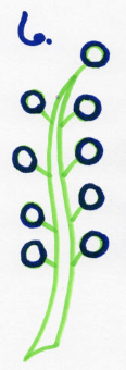 Draw Doodle Style Step by Step Drawing Instructions Step 6